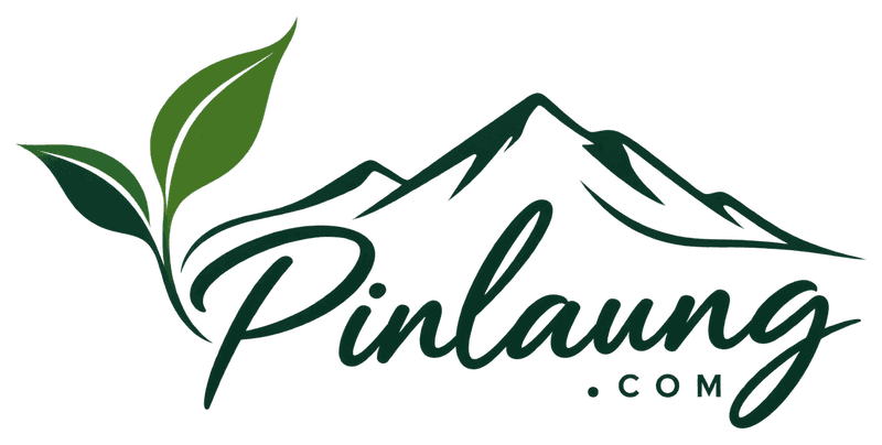 Pinlaung.com logo with tea leaves and highland mountains
